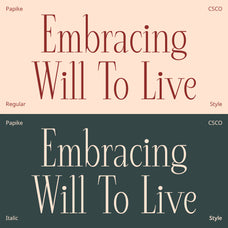 papike-modern-serif-craft-supply-co-2.jpg