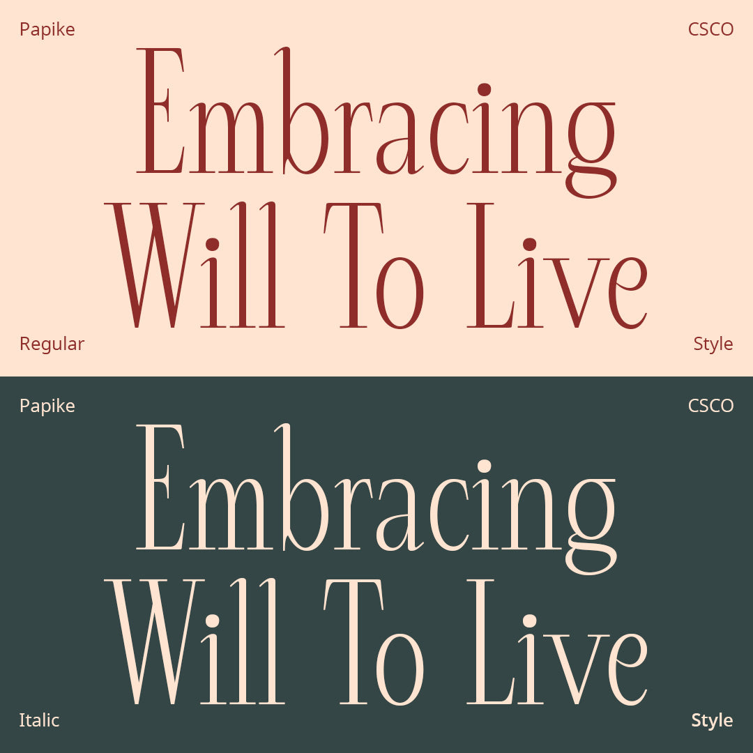 papike-modern-serif-craft-supply-co-2.jpg