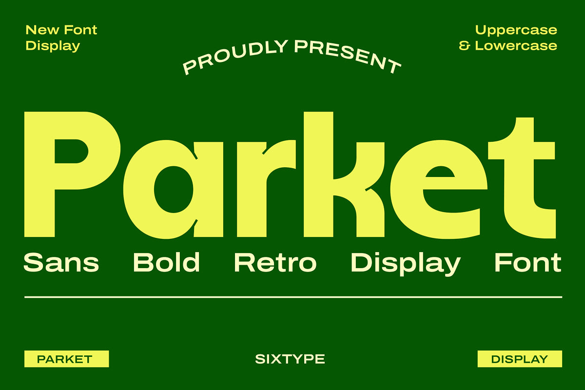 parket-retro-display-font-sixtysix-labs-studio-2.jpg