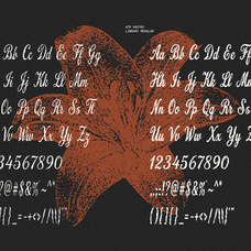pastry-library-vintage-script-font-unknown-creator-9.png