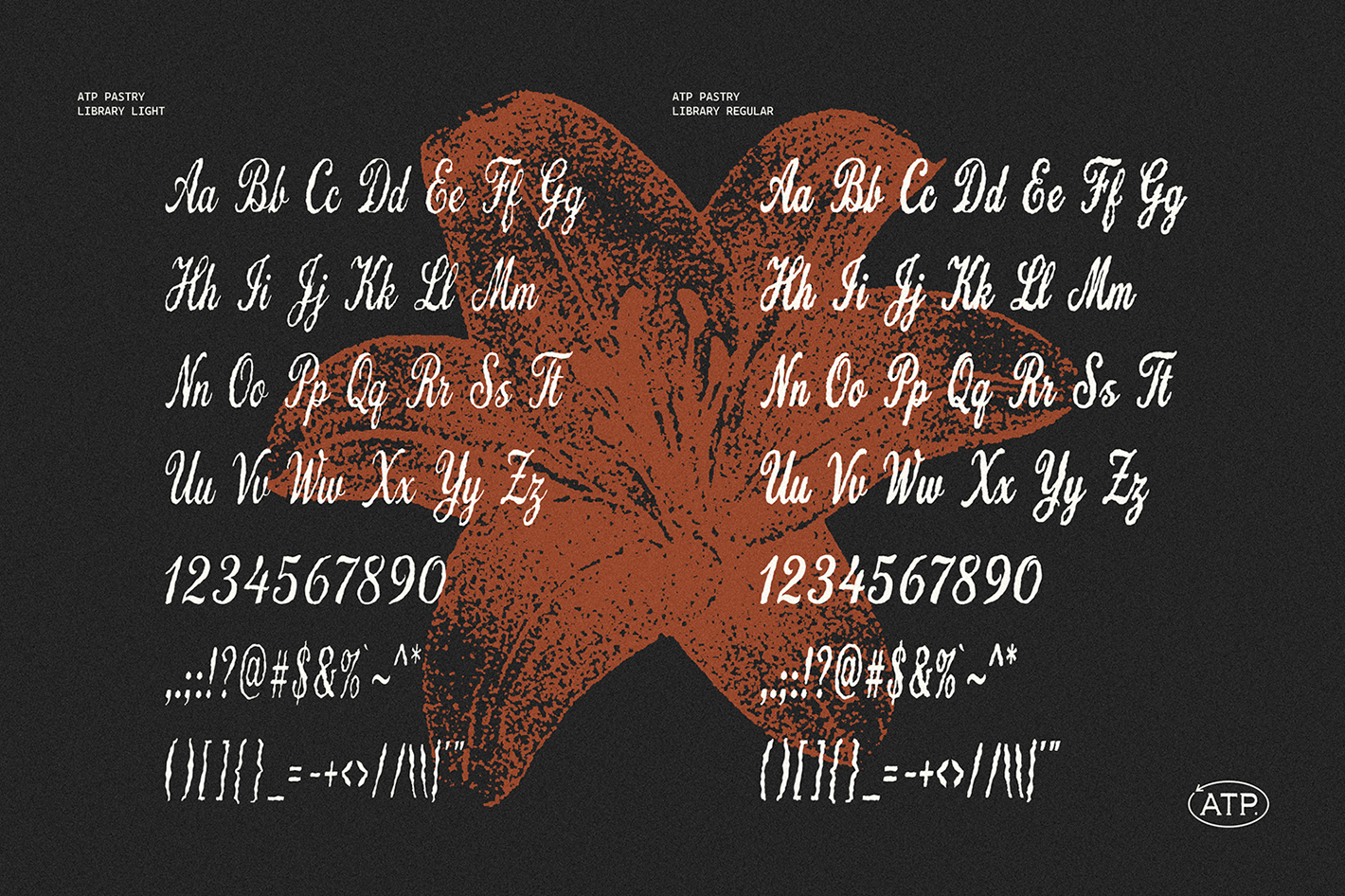 pastry-library-vintage-script-font-unknown-creator-9.png