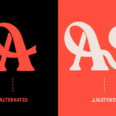 pavalo-editorial-display-typeface-font-rasio-std-5.png