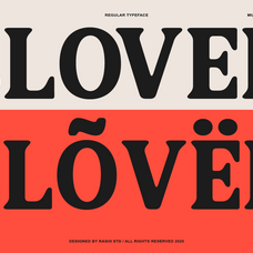 pavalo-editorial-display-typeface-font-rasio-std-6.png