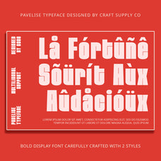 pavelise-bold-sans-serif-craft-supply-co-7.jpg
