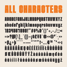pavelise-bold-sans-serif-craft-supply-co-8.jpg