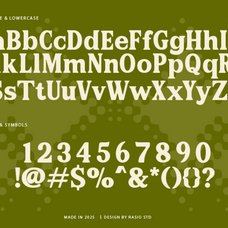 paverno-modern-display-serif-font-rasio-std-2.png