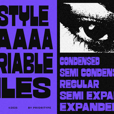 pc-merchis-modern-brutalism-font-prioritype-3.jpg