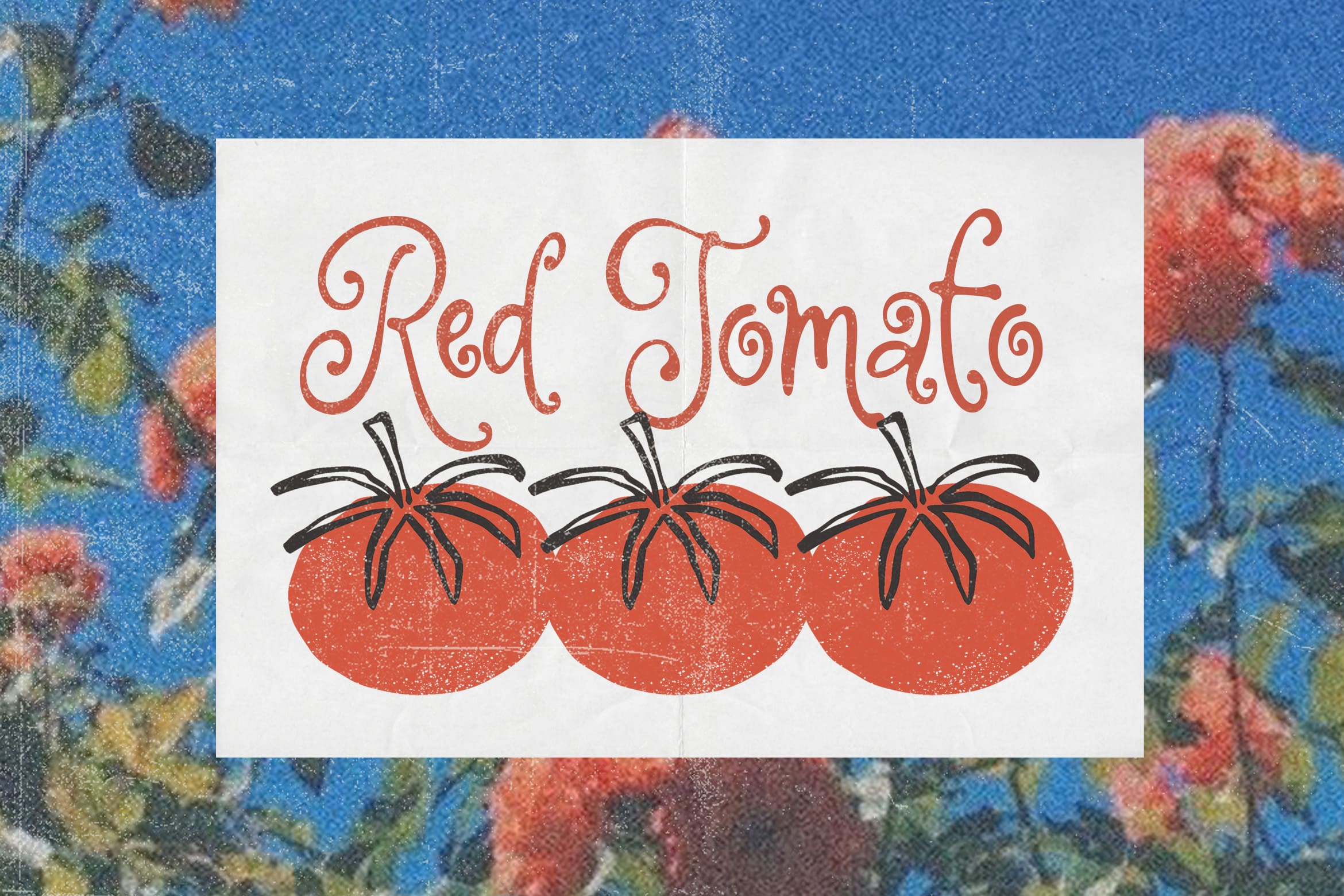 peachy-naughty-a-whimsy-curly-font-blankids-9.jpg