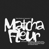 Penary - Bold Playful Chaos Font