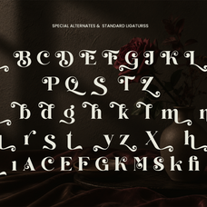 perfina-stylish-elegant-serif-font-unknown-creator-10.png