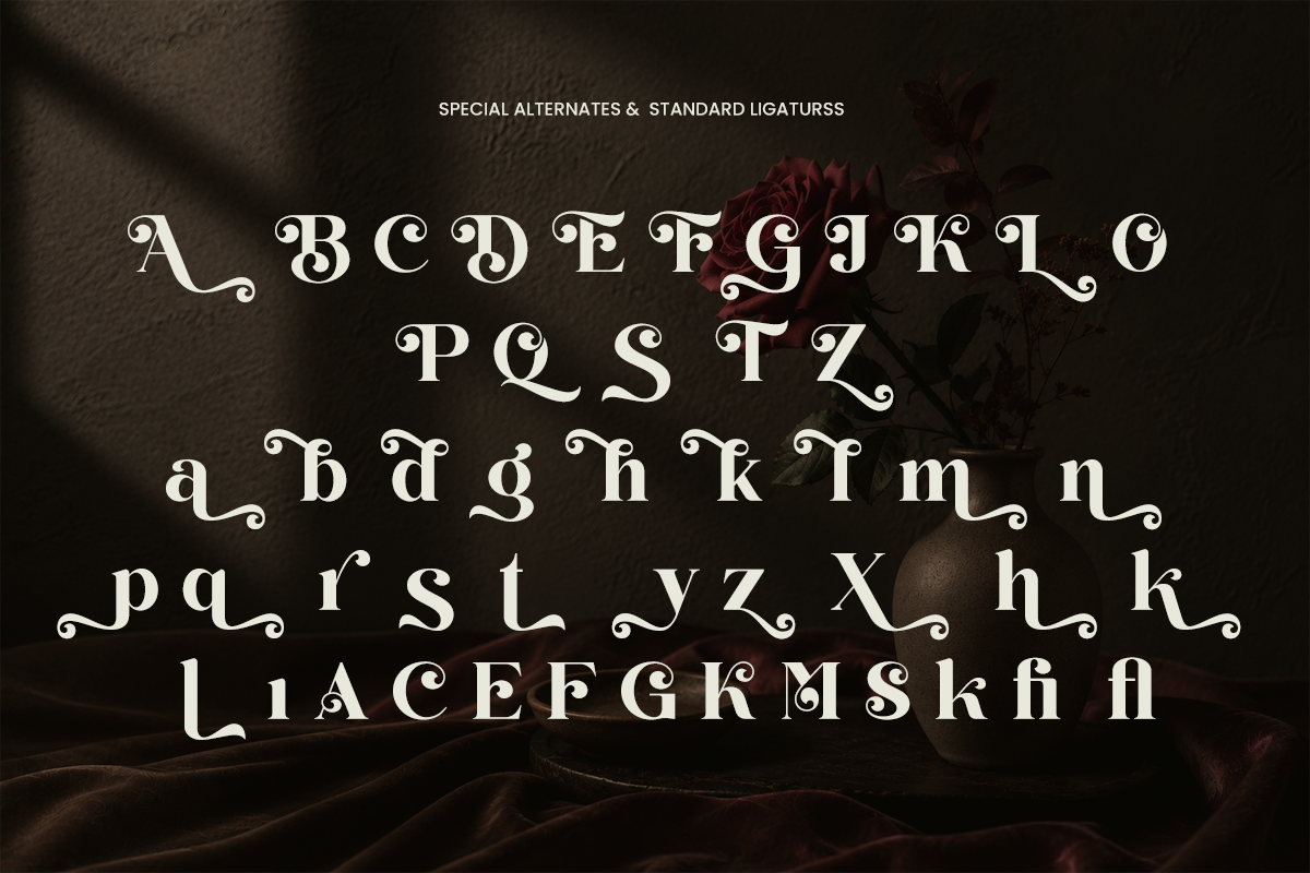 perfina-stylish-elegant-serif-font-unknown-creator-10.png