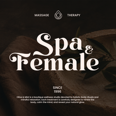 perfina-stylish-elegant-serif-font-unknown-creator-7.png