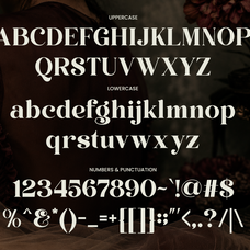 perfina-stylish-elegant-serif-font-unknown-creator-9.png