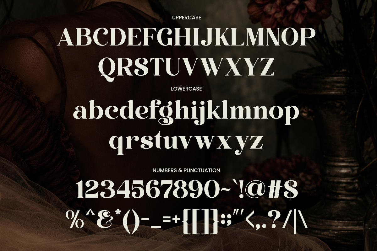 perfina-stylish-elegant-serif-font-unknown-creator-9.png