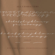 phillia-minimalist-signature-font-sarid-ezra-7.jpg