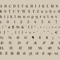 picktea-elegant-modern-serif-display-font-roomspace-creative-lab-11.png