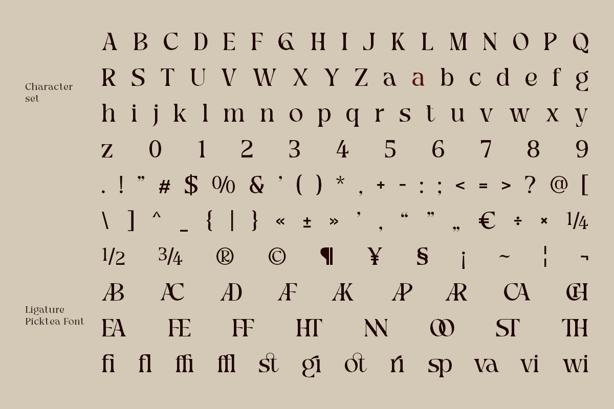 picktea-elegant-modern-serif-display-font-roomspace-creative-lab-11.png