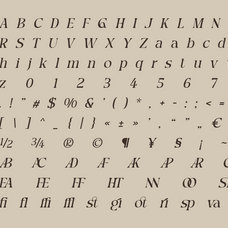 picktea-elegant-modern-serif-display-font-roomspace-creative-lab-12.png