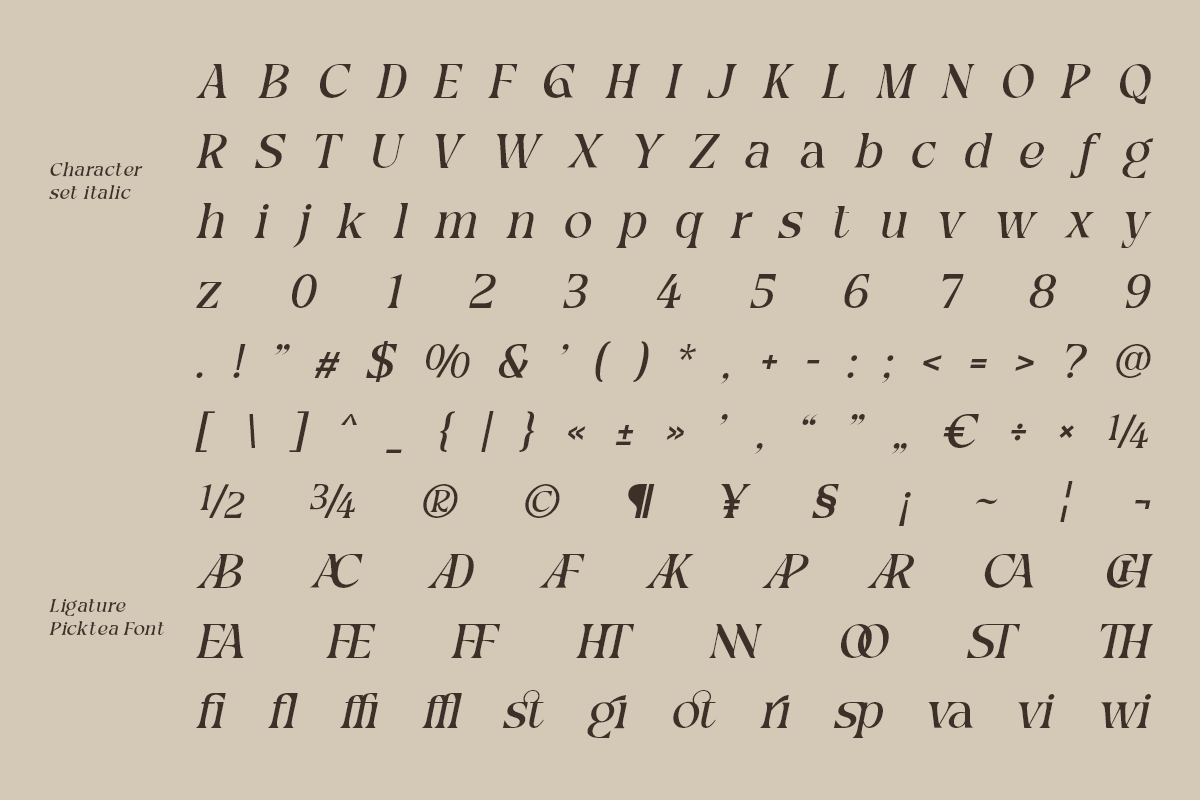 picktea-elegant-modern-serif-display-font-roomspace-creative-lab-12.png