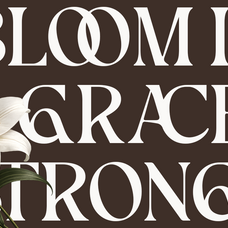 picktea-elegant-modern-serif-display-font-roomspace-creative-lab-9.png