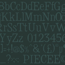 piecee-unspoken-distressed-serif-riff-type-4.jpg