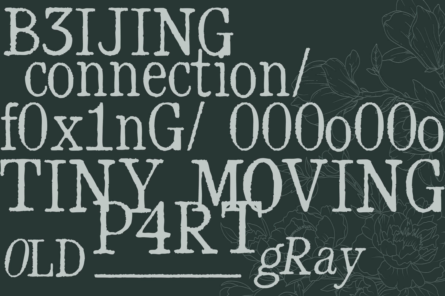 piecee-unspoken-distressed-serif-riff-type-7.jpg