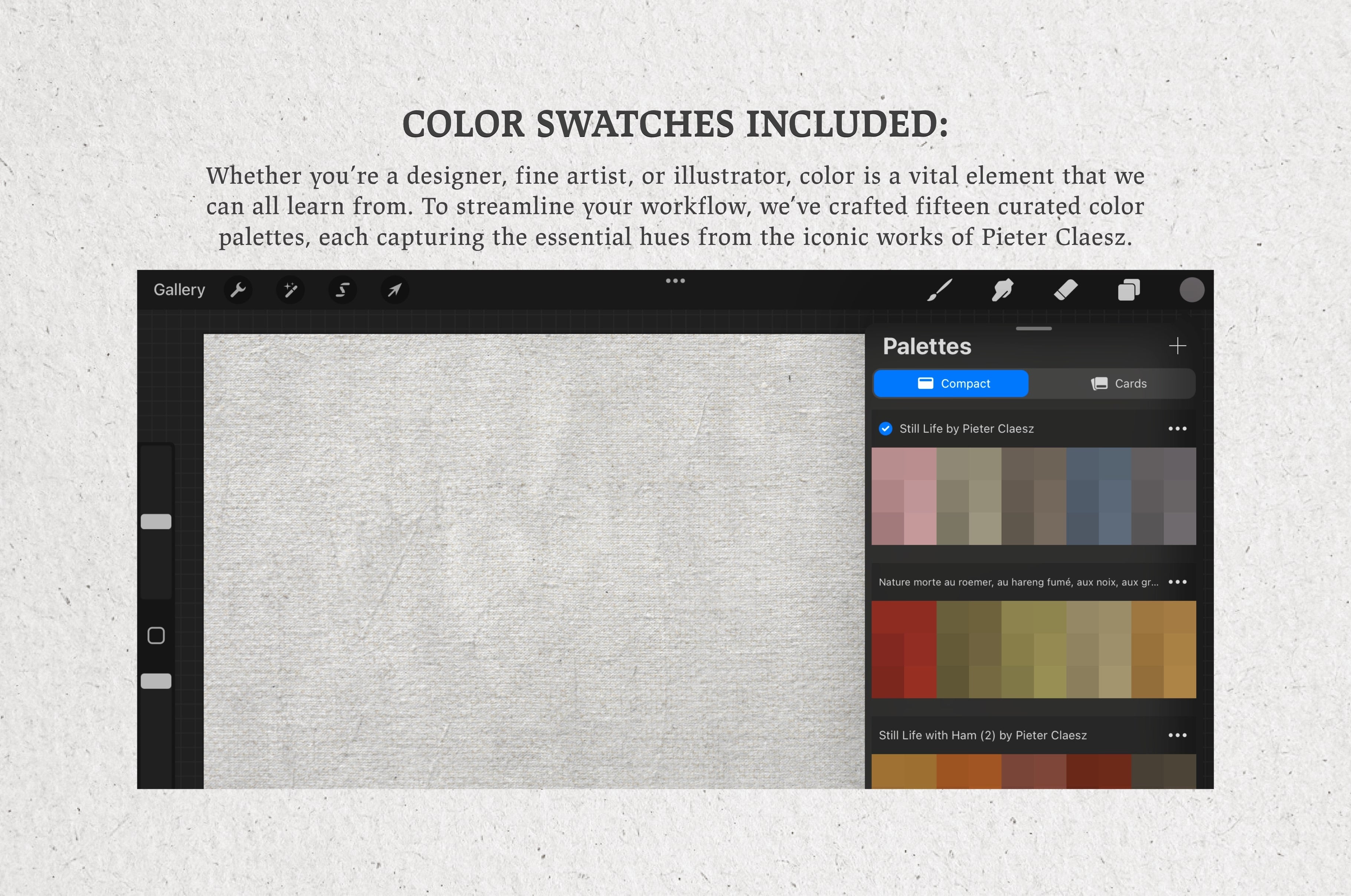 Pieter Claesz Procreate Kit