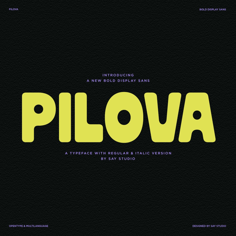 pilova-bold-groovy-sans-serif-display-font-say-studio-1.png