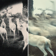 pin-hole-camera-effect-unknown-creator-7.jpg