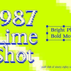 pixelatura-pixelated-serif-font-angin-studio-15.jpg