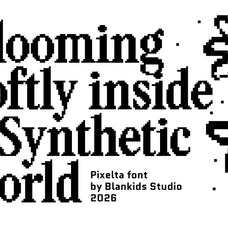 pixelta-serif-pixel-font-blankids-10.jpg