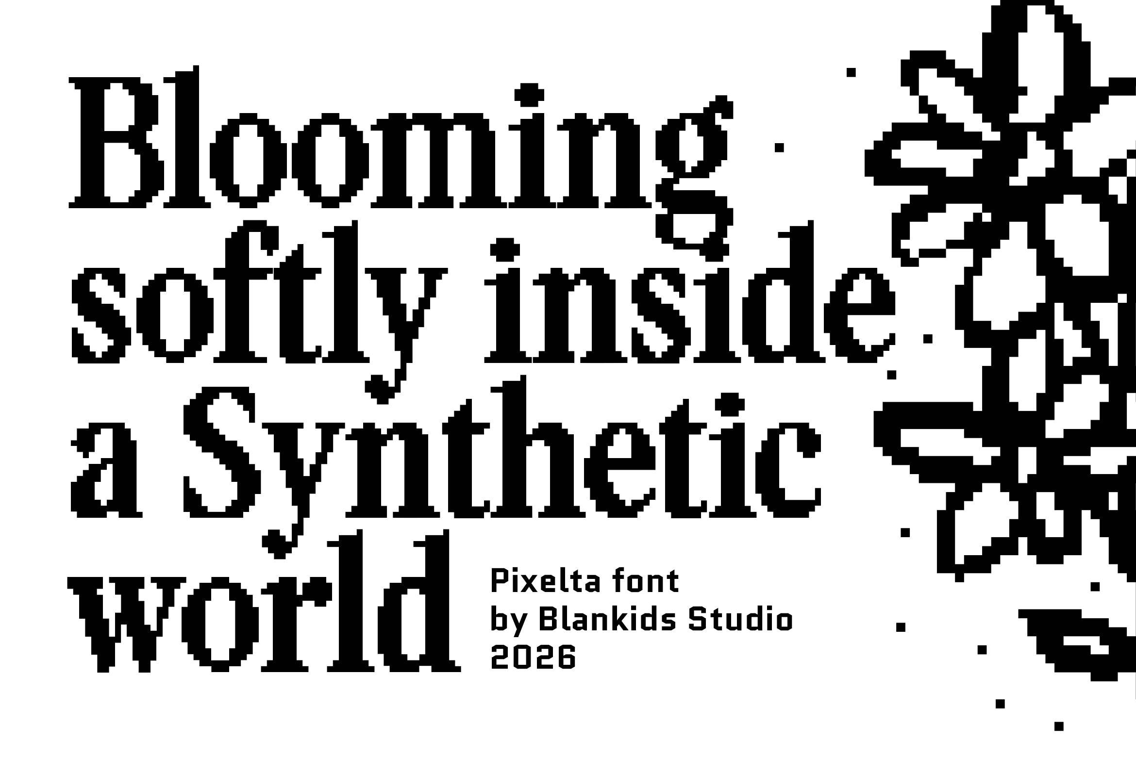 pixelta-serif-pixel-font-blankids-10.jpg