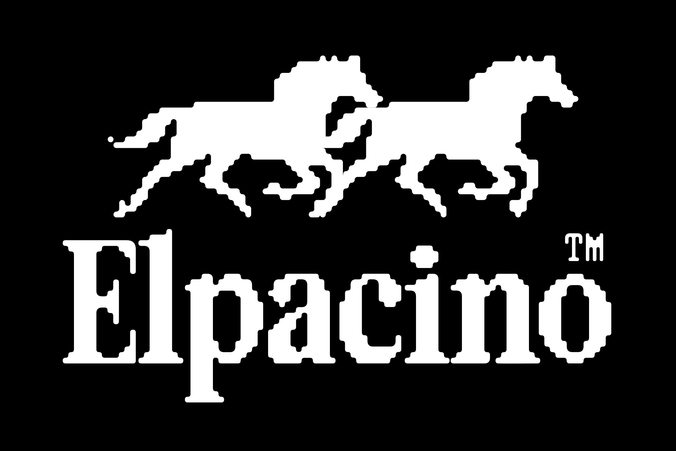 pixelta-serif-pixel-font-blankids-12.jpg