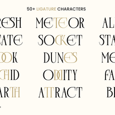 plavor-timeless-elegant-serif-font-roomspace-creative-lab-11.png
