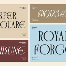plavor-timeless-elegant-serif-font-roomspace-creative-lab-7.png