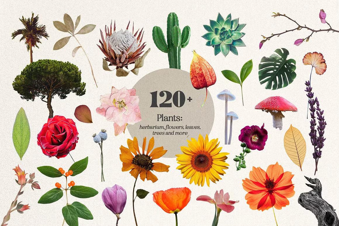 Plot Twist Collage Creator