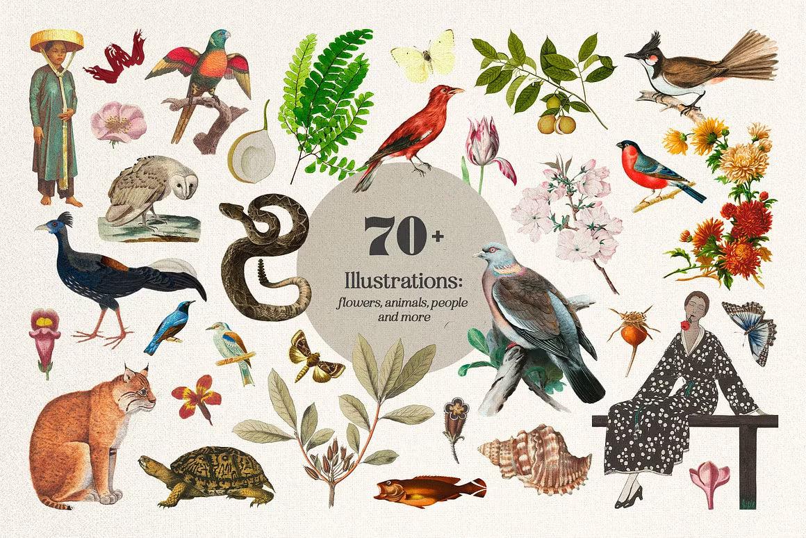 Plot Twist Collage Creator