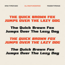 poizem-bold-serif-typeface-holisfonts-4.jpg