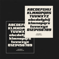 poizem-bold-serif-typeface-holisfonts-6.jpg