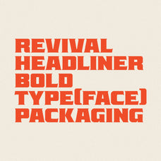 poizem-bold-serif-typeface-holisfonts-7.jpg