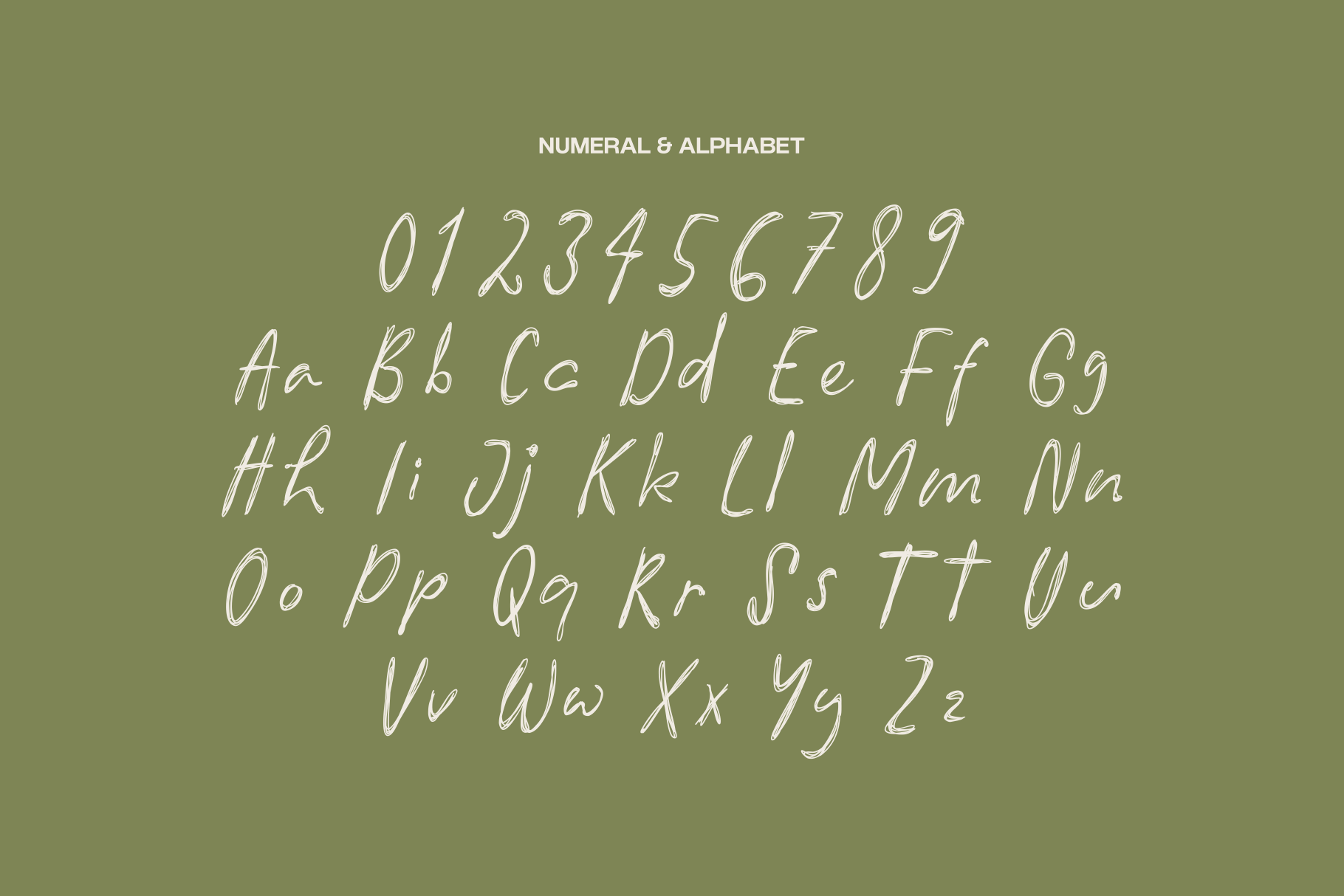 pola-words-marvadesign-7.png