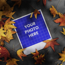 polaroid-mockup-farabion-studio-3.jpg