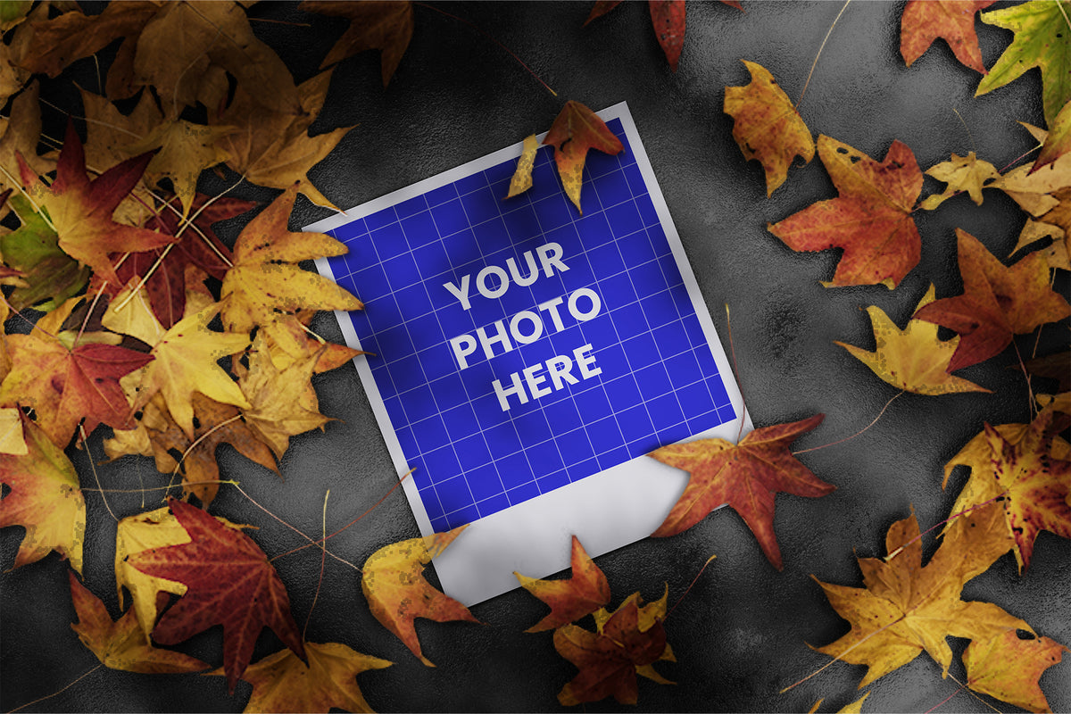 polaroid-mockup-farabion-studio-3.jpg