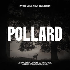 Pollard