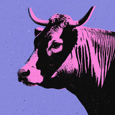 Pop Art Cartoons Photo Effect