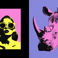 Pop Art Cartoons Photo Effect