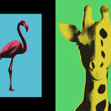 pop-art-photo-effect-pixelbuddha-3.jpg