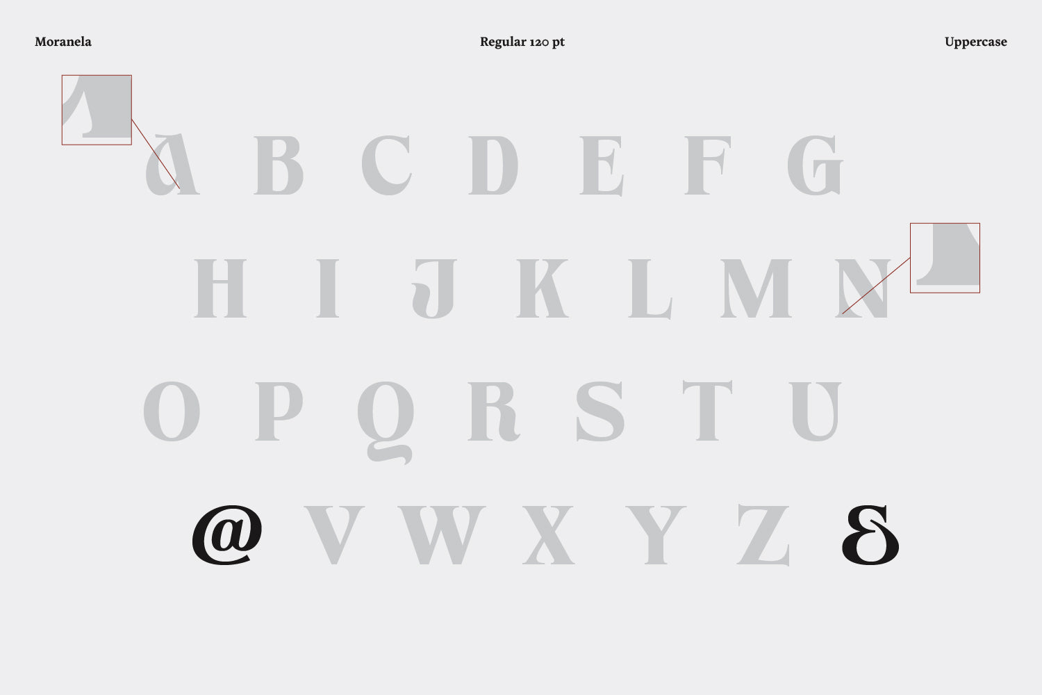 prak-moranela-praktypes-2.jpg