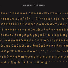 prak-trotoer-vintage-display-font-praktypes-11.jpg