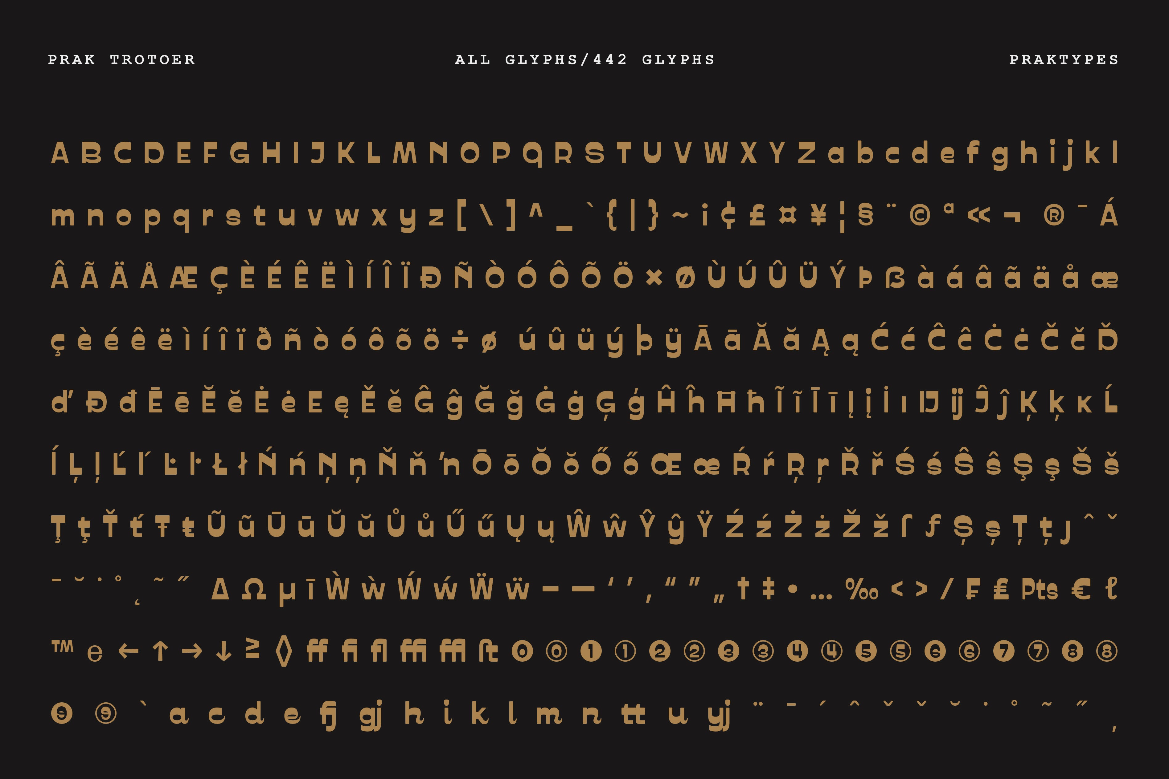 prak-trotoer-vintage-display-font-praktypes-11.jpg
